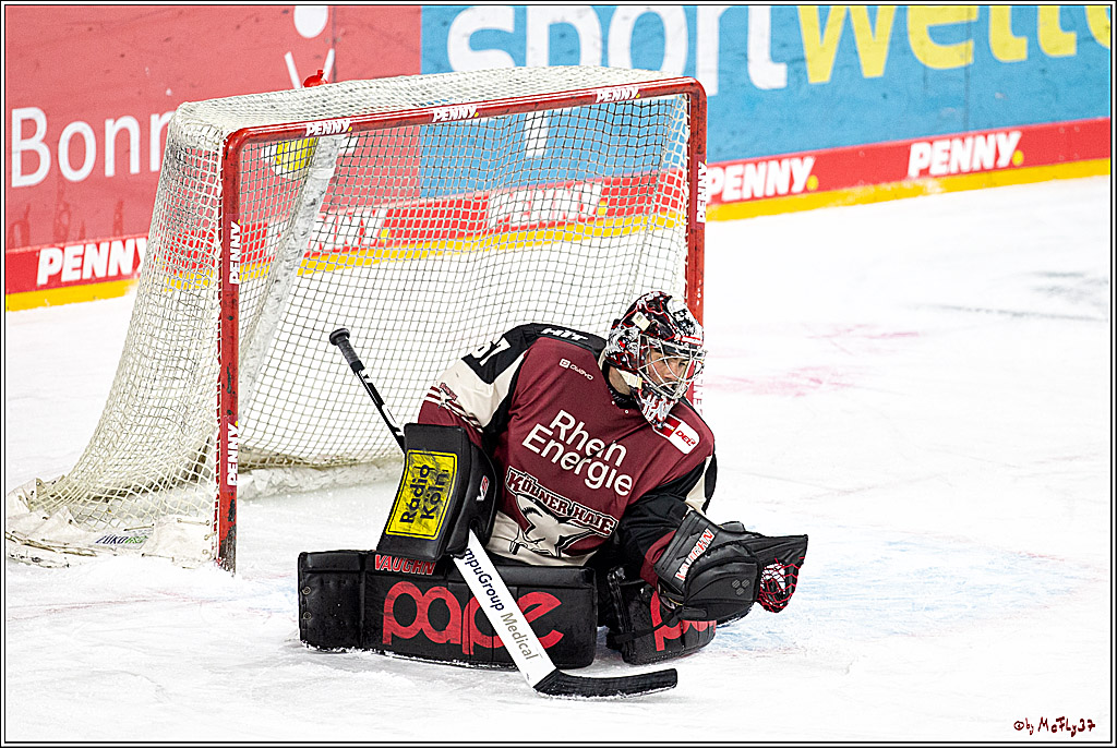 PENNY DEL;  Koelner Haie - Schwenninger Wild Wings; Koeln, 21.03.2021